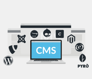 custom website development cms