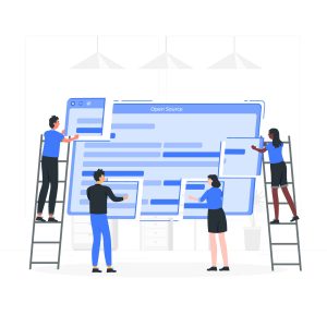 custom website development teamwork